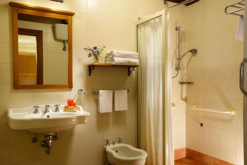 a bathroom with a sink and a toilet and a shower at Hotel Santa Maria in Rome