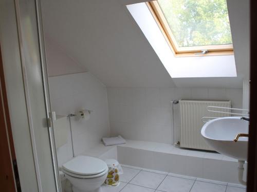 a bathroom with a toilet and a sink and a skylight at Spacious Apartment in Boddin near Baltic Sea in Boddin