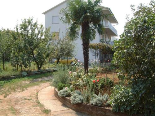 einen Garten vor einem Haus mit einer Palme in der Unterkunft Charming Apartment in Vantacici amid the Sea in Dragozetići