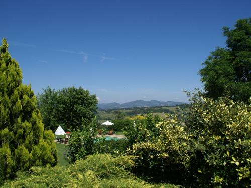 a view of a garden with trees in the foreground at Holiday Home in Montone with Pool & Garden in Montone