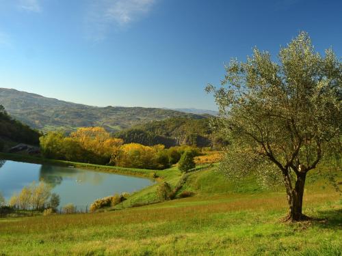 a tree in a field next to a lake at Holiday home in Dicomano FI in Dicomano