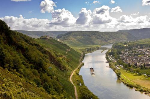 a river with a boat on it in a valley at Mosel Panorama in Zell an der Mosel