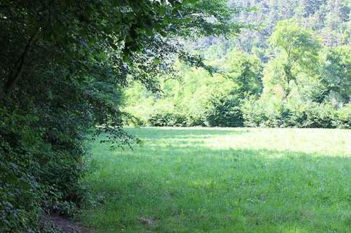 a large green field with trees in the background at Agriturismo BioBiò in Vobarno