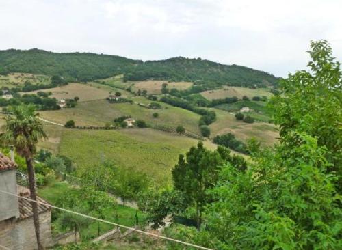 Fotografie z fotogalerie ubytování B&B Il Colle v destinaci Serra San Quirico