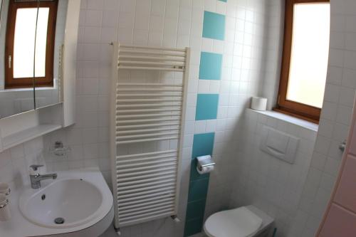 Koupelna v ubytování Leysin Lodge