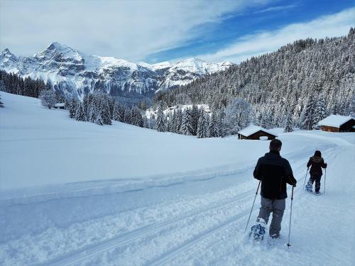 冬のChalet Arpitan - les Carroz - Grand Massifの様子