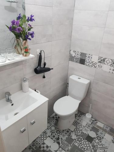 a bathroom with a white toilet and a sink at Casa Milan in Oradea