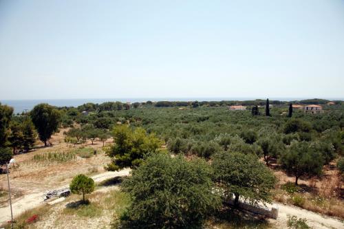 Gallery image of Andriani-Michalis Studios in Vasilikos