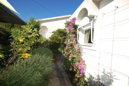 Villa Jazz – Photos 2