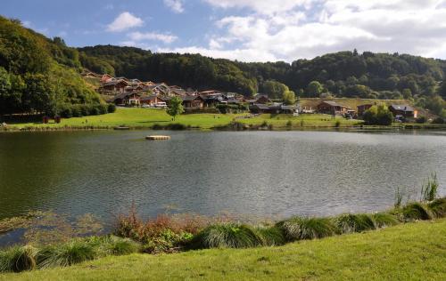 un lago con casas en medio de un pueblo en Eifel & See - Ferienhäuser am Waldsee Rieden/Eifel, en Rieden