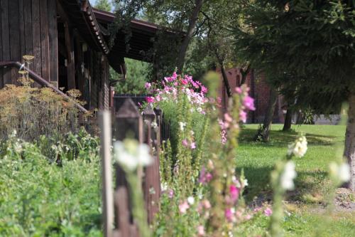 Zahrada ubytování Orlik Mazury
