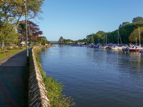 a river with ducks in the water with boats at 1 Crabshell Quay in Kingsbridge