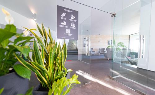 an office with glass walls and potted plants at Pensiunea Atra Doftana in Teşila