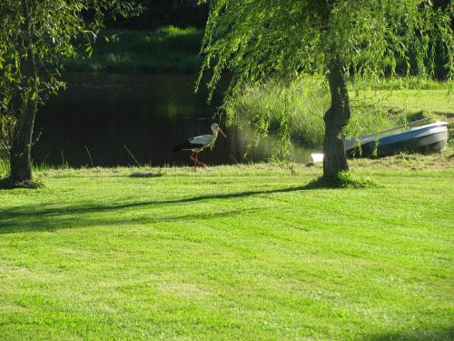 Zahrada ubytování Orlik Mazury