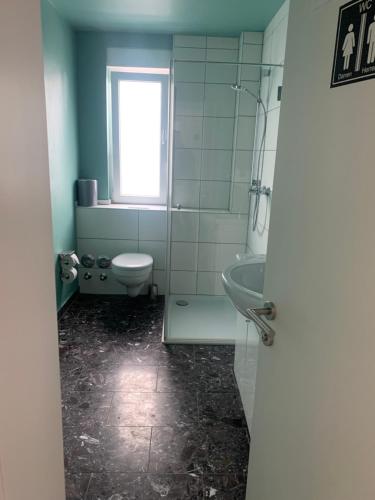 a bathroom with a toilet and a sink and a window at ARGENTA Living 2 in Fulda