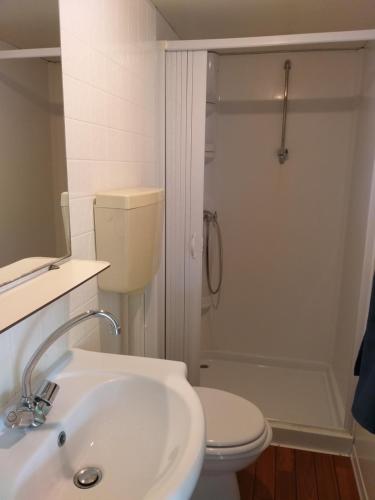 La salle de bains est pourvue d'un lavabo, de toilettes et d'une douche. dans l'établissement Mobilhome Angel, à Cavallino-Treporti