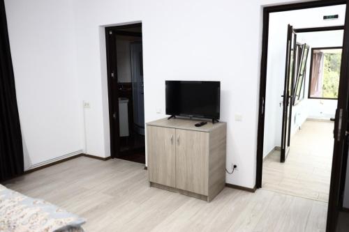 a living room with a flat screen tv on a cabinet at Hățașul Bunicului in Arefu