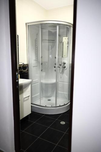 a bathroom with a shower and a sink at Hățașul Bunicului in Arefu