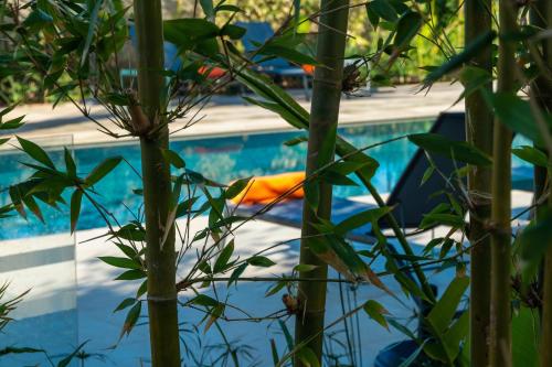 a view of a pool from behind some plants at Sirayane Boutique Hotel & Spa Marrakech in Marrakesh