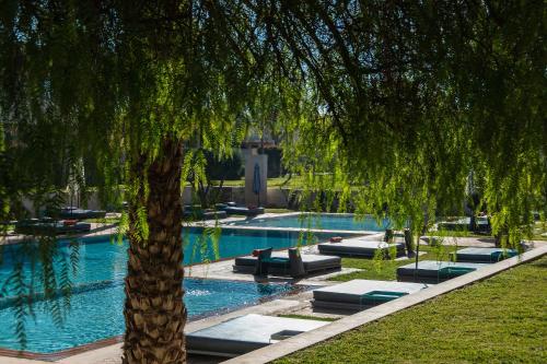 a large swimming pool with a tree in the foreground at Sirayane Boutique Hotel & Spa Marrakech in Marrakesh