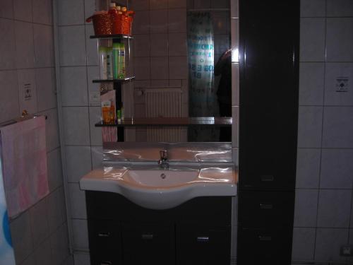 a bathroom with a sink and a mirror at Le Studio Sam in Illkirch-Graffenstaden