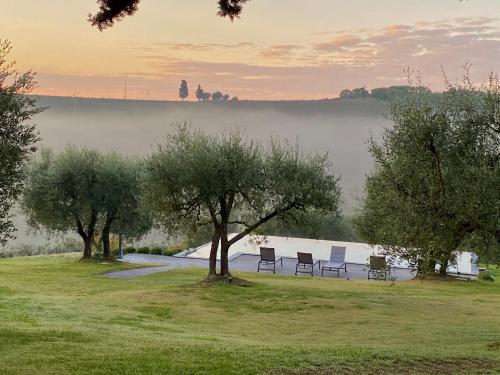 a group of chairs sitting on a field with trees at Podere Gattabigia in Lastra a Signa