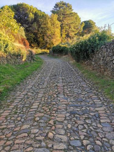 a cobblestone road with a stone wall and trees at Zocailla in Gata