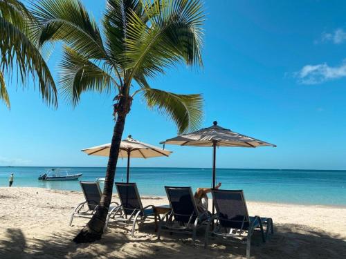 um grupo de cadeiras e guarda-sóis numa praia em Hotel Posada Seremein Roatan em West Bay