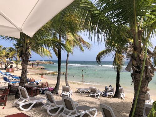 a beach with chairs and palm trees and the ocean at Studios FREEBROISE in Saint-François