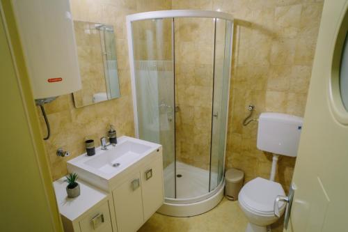 a bathroom with a shower and a toilet and a sink at Košuta 21 Center Duplex Apartment, Brzeće in Brzeće