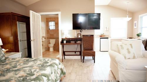 a living room with a couch and a tv on the wall at Meranova Guest Inn in Dunedin