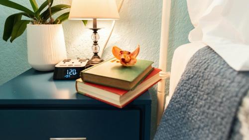 a cat toy sitting on top of books on a table at Meranova Guest Inn in Dunedin