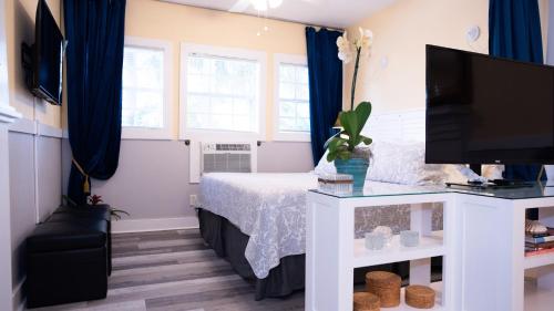 a bedroom with a bed with blue curtains and a tv at Meranova Guest Inn in Dunedin