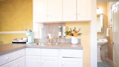a kitchen with white cabinets and a sink at Meranova Guest Inn in Dunedin