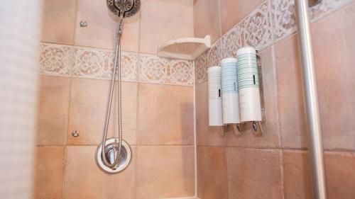 a bathroom with a shower with a shower head at Meranova Guest Inn in Dunedin
