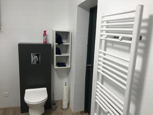 La salle de bains est pourvue de toilettes et d'une porte blanche. dans l'établissement Appartement centre ville, à Dole