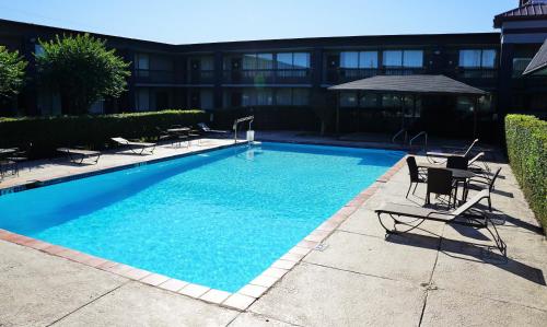 una gran piscina azul con sillas y cenador en Hotel Elev8, en Conroe