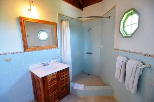 a bathroom with a sink and a shower with a mirror at Pimento Lodge Resort in Port Antonio