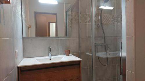 y baño con lavabo y ducha. en Gîte tout confort 4 personnes en Besse-et-Saint-Anastaise