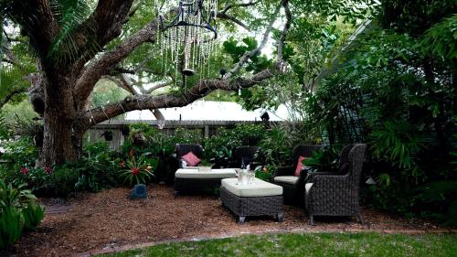 a garden with chairs and a table and a tree at Meranova Guest Inn in Dunedin