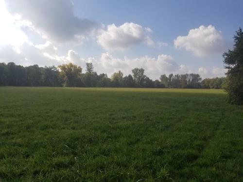 a large green field with trees in the background at chambre d'hôtes de charme, un temps en forêt in Westhouse