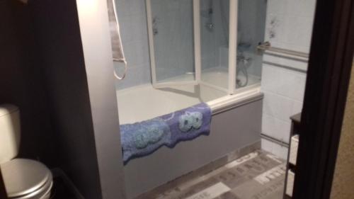 une salle de bain avec toilettes et douche dans l'établissement Les Mimosas, à Saint-Vigor-le-Grand