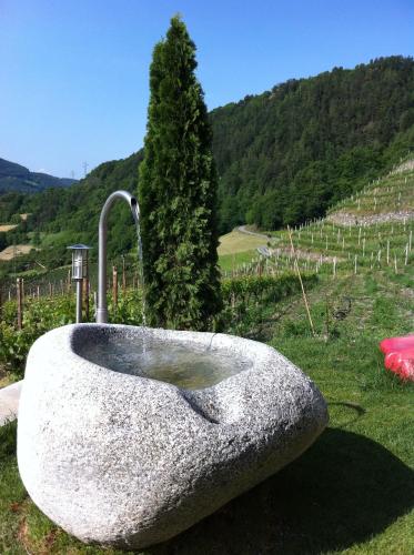a large stone bath tub sitting in the grass at Appartements Toni in Feldthurns