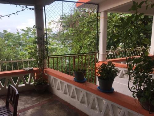 a balcony with potted plants on a house at Bungalows pacíficos in Zihuatanejo