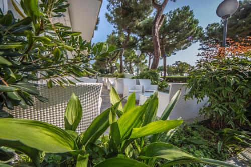 a garden with white chairs and plants and trees at Ciccio Hotel in Misano Adriatico