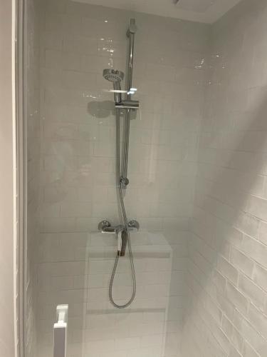 a shower with a shower head in a bathroom at Logements équipés à Onnaing avec espace Balneo en OPTION proche Toyota, autoroute et Valenciennes in Onnaing