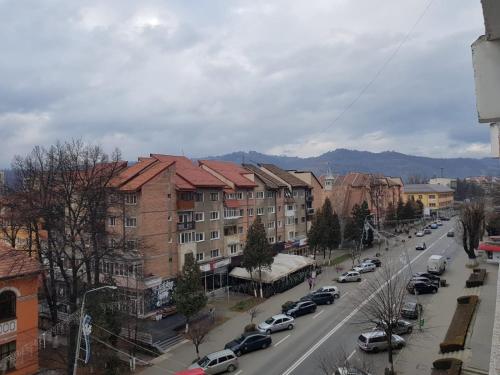 a city street with cars parked on the street at Garsoniera Mihaela in Petroşani