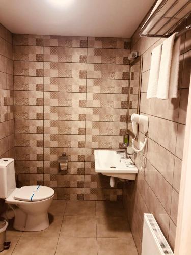 a bathroom with a toilet and a sink at Gostynna sadyba Kit Bayun in Teterivka