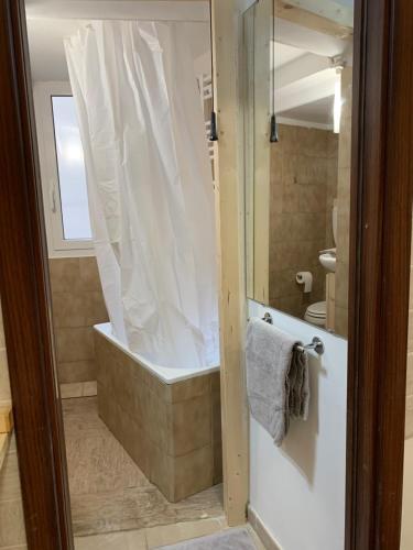 a bathroom with a bath tub and a shower at Suite Panisperna Roma in Rome