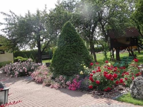 Κήπος έξω από το SKALNY apartamenty, pokoje